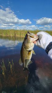 Angler fishing in Fort Lauderdale, Florida