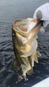 A fishing tour in Fort Lauderdale