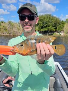Angler fishing in Florida with a great catch