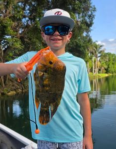 Freshly caught fish being displayed on fishing charter in Fort Lauderdale FL