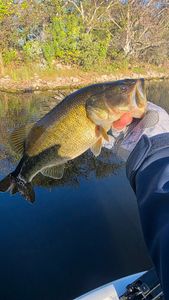 Fishing tour in Fort Lauderdale