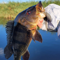 A fishing tour in Fort Lauderdale, Florida