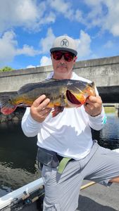 Lone angler fishing in Fort Lauderdale