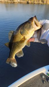 Fishing tour in Fort Lauderdale