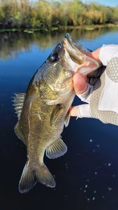 Fishing excursion in Fort Lauderdale