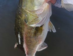 Fishing tour in Fort Lauderdale