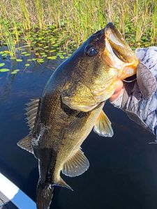Scenic view of Fort Lauderdale, Florida