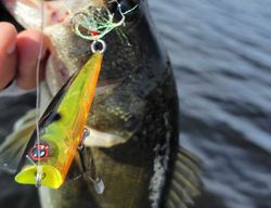 Angler fishing in Fort Lauderdale waters