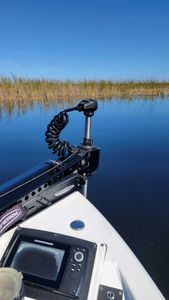 Scenic view of the Fort Lauderdale coastline with fishing tours available