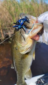 A scenic fishing tour in Fort Lauderdale