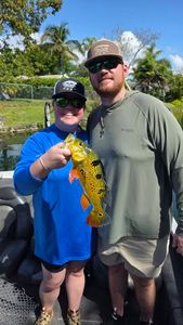 Peacock bass fishing catch in Fort Lauderdale FL