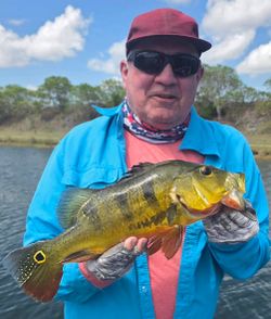 Peacock bass catch during fishing tour in Fort Lauderdale FL