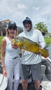 Peacock bass fishing catch in Fort Lauderdale FL