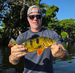 Peacock bass caught during fishing tour in Fort Lauderdale FL