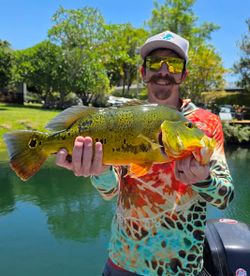 Peacock bass caught during fishing tour in Fort Lauderdale FL