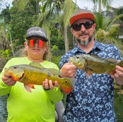 Two freshly caught peacock bass being displayed after successful fishing in Fort Lauderdale FL