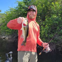 Largemouth Bass caught while fishing in FL