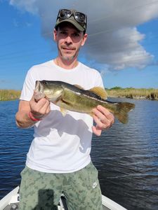 Largemouth Bass caught while fishing in Fort Lauderdale