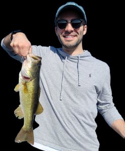 Largemouth Bass caught while fishing in Fort Lauderdale