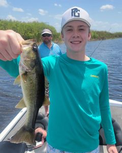 Largemouth Bass caught in Fort Lauderdale, Florida during fishing tour