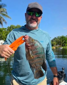 Mexican Mojarra caught during fishing tour in Fort Lauderdale FL