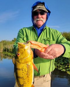 Angler enjoying a great day of fishing in FL