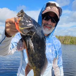Fishing tour in FL