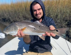 Fish-Species