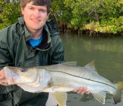 Fish-Species