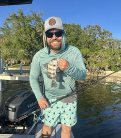 Black drum fish caught fishing in FL