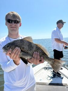 Black drum fish caught while fishing in Melbourne FL