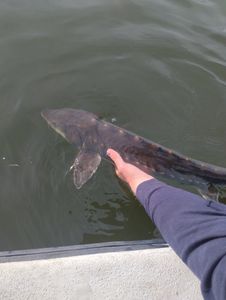 Fishing in Melbourne