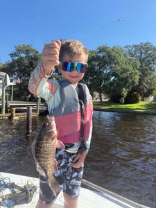 Grey Snapper caught while fishing in FL
