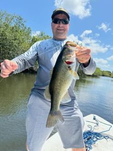 Largemouth bass caught in FL