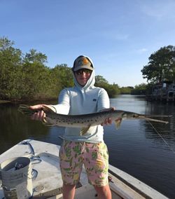 Longnose gar fish caught while fishing in Melbourne