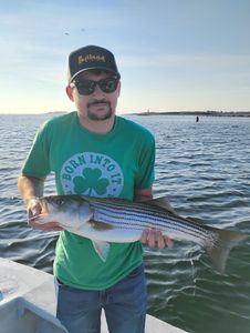 Striped bass caught while fishing in FL