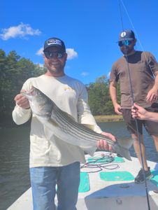 Striped bass caught by fisherman in Melbourne