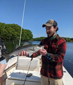 Striped bass caught while fishing in Melbourne FL