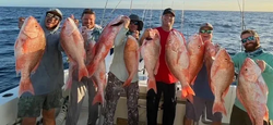 6 big fish caught in Islamorada during cruises and fishing trip