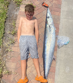 King Mackerel, a large fish caught on a fishing trip in Islamorada