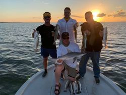 Sunrise fishing trips in paradise