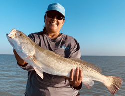 Redfish in South Padre Island