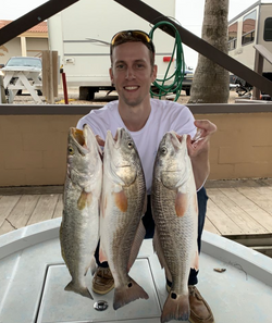 Three redfish caught while fishing in TX