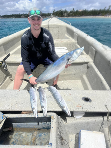 Three 17-inch fish caught while fishing in Dominicus