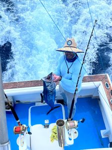 Lone fisherman casting line in Dominicus