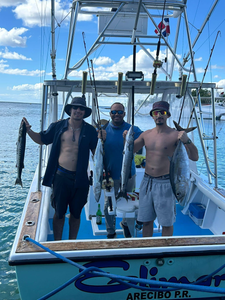 Four large yellowfin tuna and great barracuda caught by 3 people in Dominicus