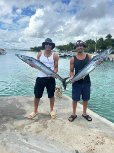 Two giant wahoo fish caught while fishing in Dominicus