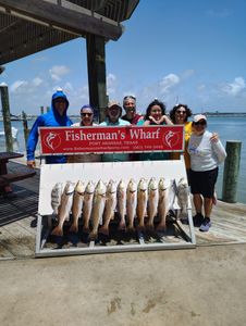 Redfish caught in TX