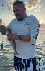 Image of an Atlantic Croaker fish caught while fishing in Rockport