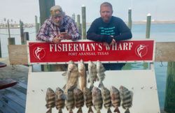 Sheepshead catch of the day in Rockport!